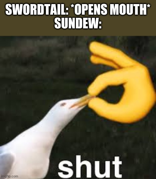 Shut Bird | SWORDTAIL: *OPENS MOUTH*
SUNDEW: | image tagged in shut bird,wings of fire,wof | made w/ Imgflip meme maker