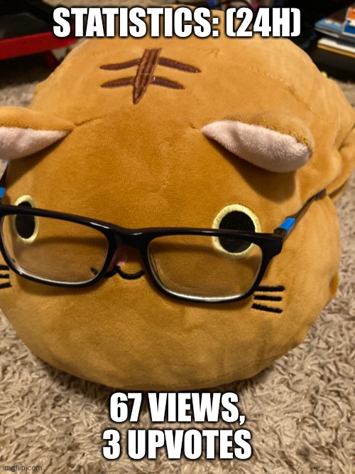 Statistics | STATISTICS: (24H); 67 VIEWS, 3 UPVOTES | image tagged in meow | made w/ Imgflip meme maker