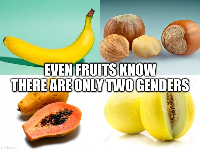 Even fruits know there are only two genders | EVEN FRUITS KNOW THERE ARE ONLY TWO GENDERS | image tagged in bananas,nuts,papayas,melons | made w/ Imgflip meme maker