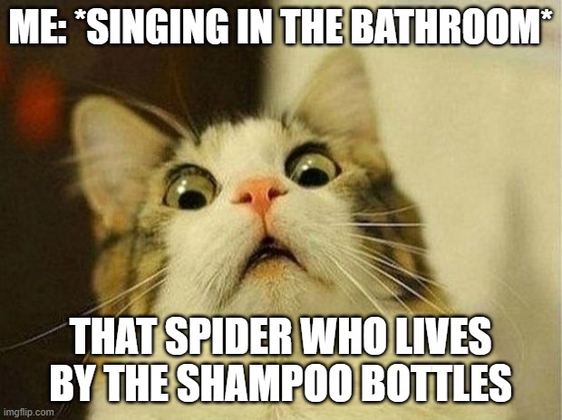 Scared Cat |  ME: *SINGING IN THE BATHROOM*; THAT SPIDER WHO LIVES BY THE SHAMPOO BOTTLES | image tagged in memes,scared cat | made w/ Imgflip meme maker