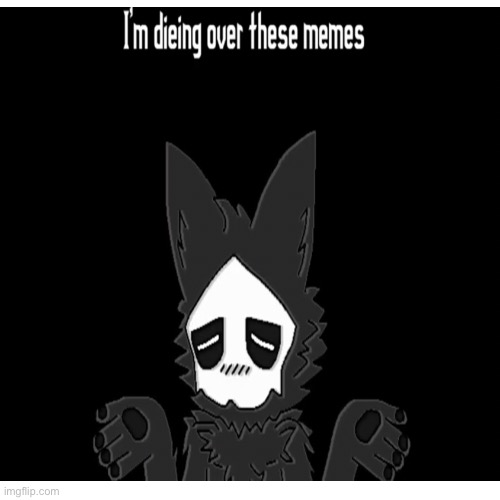 I am dieing | image tagged in puro,changed,memes | made w/ Imgflip meme maker