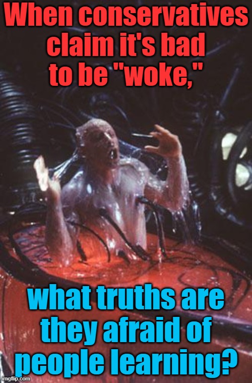 Agent Smith says stop thinking & just keep producing body heat. | When conservatives claim it's bad
to be "woke,"; what truths are
they afraid of
people learning? | image tagged in neo matrix pod,conservative logic,this is america,oppression,corruption,lies | made w/ Imgflip meme maker