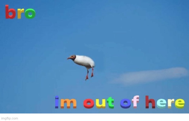 Adios | image tagged in bro i'm out of here | made w/ Imgflip meme maker