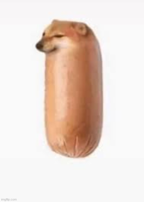 Template | image tagged in dog sausages | made w/ Imgflip meme maker