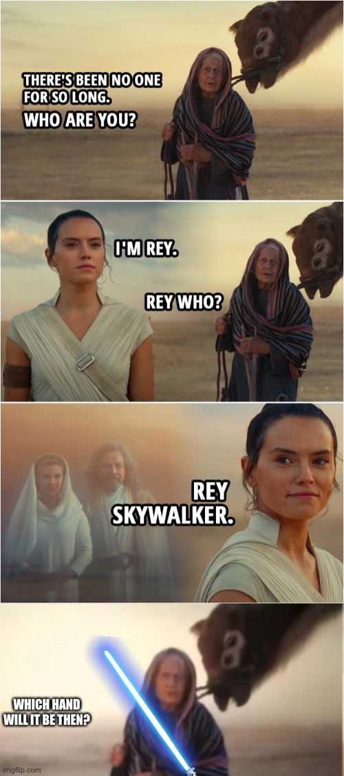 The left hand or the right hand has to go. Which one will it be? You decide in the comments | WHICH HAND WILL IT BE THEN? | image tagged in star wars,lightsaber,star wars rey | made w/ Imgflip meme maker