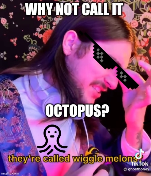 Wiggle Melons | WHY NOT CALL IT; OCTOPUS? | image tagged in octopus | made w/ Imgflip meme maker