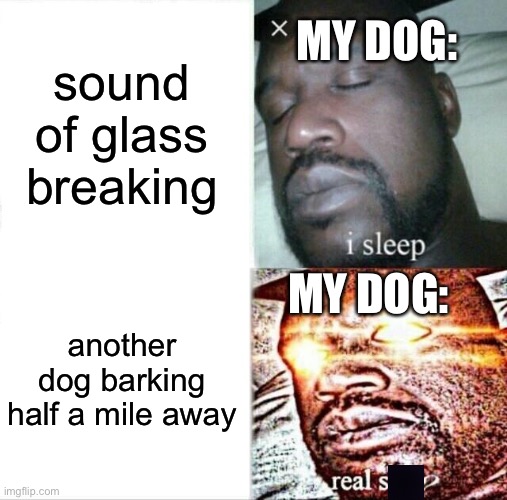 I wAkE | sound of glass breaking; MY DOG:; MY DOG:; another dog barking half a mile away | image tagged in memes,sleeping shaq,dogs | made w/ Imgflip meme maker