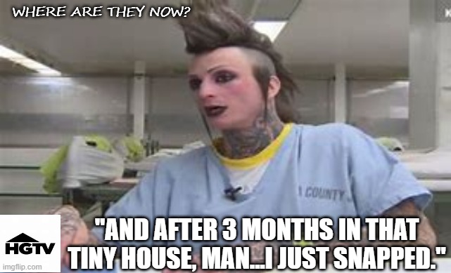 WHERE ARE THEY NOW? "AND AFTER 3 MONTHS IN THAT TINY HOUSE, MAN...I JUST SNAPPED." | image tagged in house | made w/ Imgflip meme maker