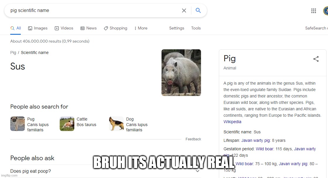 BRUH ITS ACTUALLY REAL | made w/ Imgflip meme maker