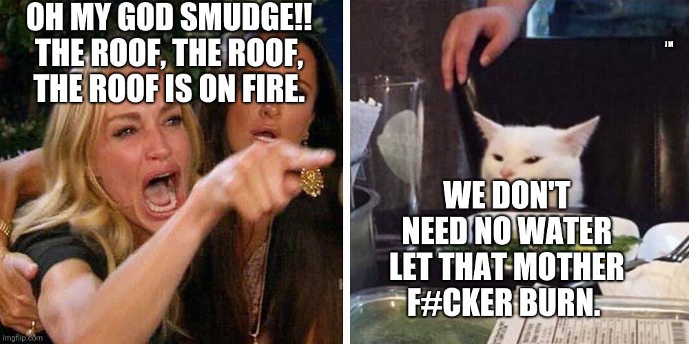 Smudge the cat | OH MY GOD SMUDGE!! THE ROOF, THE ROOF, THE ROOF IS ON FIRE. J M; WE DON'T NEED NO WATER LET THAT MOTHER F#CKER BURN. | image tagged in smudge the cat | made w/ Imgflip meme maker
