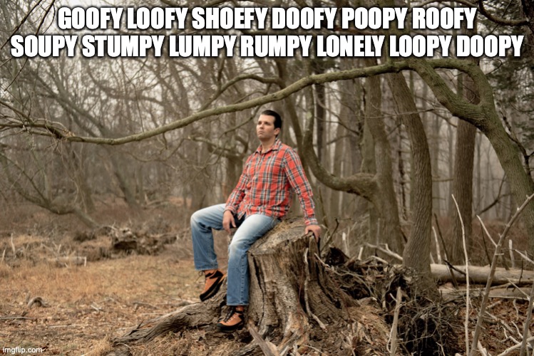 Donald Trump Jr in the Woods | GOOFY LOOFY SHOEFY DOOFY POOPY ROOFY SOUPY STUMPY LUMPY RUMPY LONELY LOOPY DOOPY | image tagged in donald trump jr in the woods | made w/ Imgflip meme maker