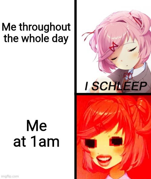 Natsuki I sleep | Me throughout the whole day; Me at 1am | image tagged in natsuki i sleep | made w/ Imgflip meme maker