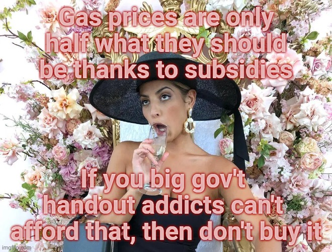 Jade Tunchy | Gas prices are only half what they should be thanks to subsidies If you big gov't  handout addicts can't  afford that, then don't buy it | made w/ Imgflip meme maker