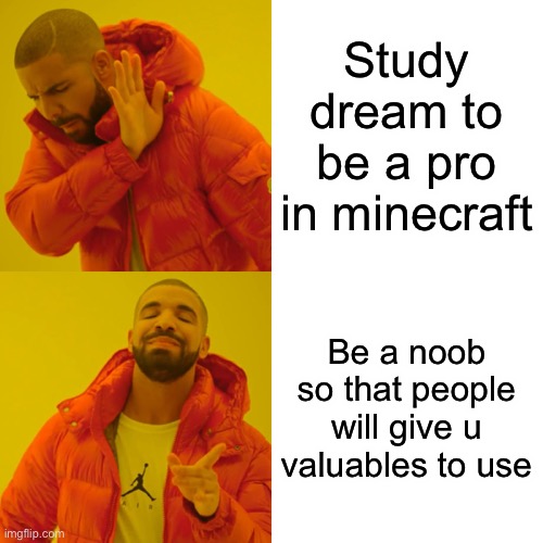 B R U H | Study dream to be a pro in minecraft; Be a noob so that people will give u valuables to use | image tagged in memes,drake hotline bling | made w/ Imgflip meme maker