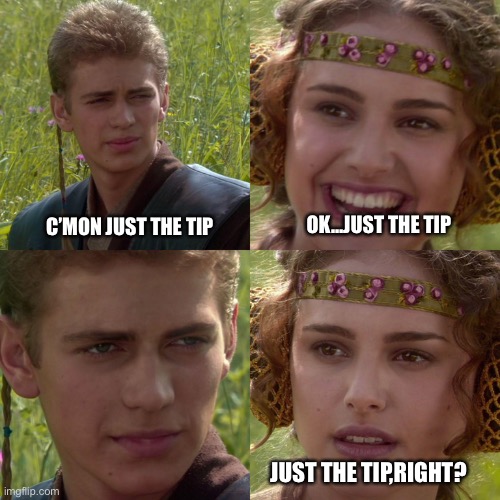 Tip | OK…JUST THE TIP; C’MON JUST THE TIP; JUST THE TIP,RIGHT? | image tagged in anakin padme 4 panel | made w/ Imgflip meme maker