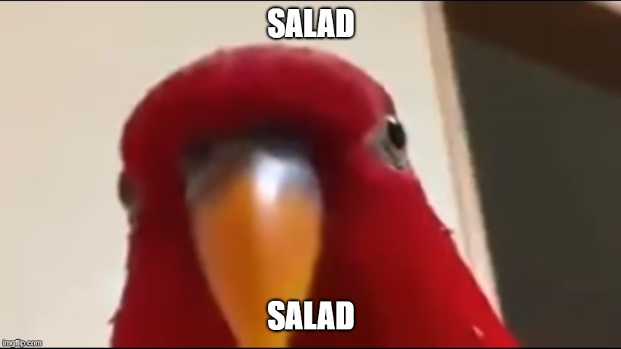 Salad | image tagged in birb | made w/ Imgflip meme maker