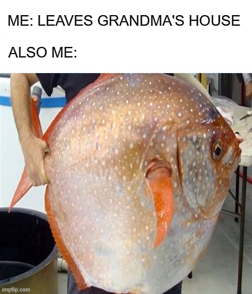 Le Feesh | ME: LEAVES GRANDMA'S HOUSE                                                       

ALSO ME: | image tagged in fish | made w/ Imgflip meme maker