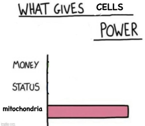 Mitochondria | image tagged in memes,what gives people feelings of power,funny,not really a gif | made w/ Imgflip meme maker