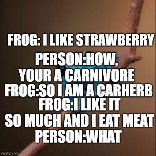 frog is crazy | FROG: I LIKE STRAWBERRY; PERSON:HOW, YOUR A CARNIVORE; FROG:SO I AM A CARHERB; FROG:I LIKE IT SO MUCH AND I EAT MEAT; PERSON:WHAT | image tagged in fun fact frog | made w/ Imgflip meme maker