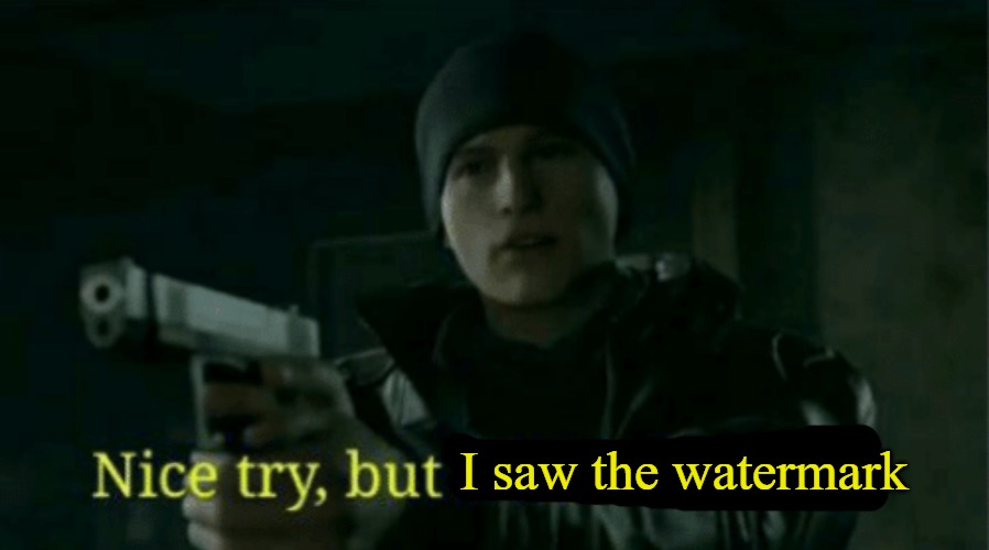 Nice try, but I saw the watermark | image tagged in nice try but i saw the watermark | made w/ Imgflip meme maker