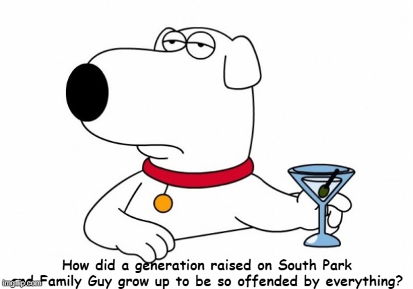 Brian Griffin Generation raised by South Park and Family Guy | How did a generation raised on South Park and Family Guy grow up to be so offended by everything? | image tagged in brian griffin | made w/ Imgflip meme maker