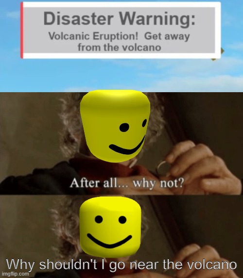 They always go inside the volcano :D |  Why shouldn't I go near the volcano | image tagged in after all why not,funny,memes,fun,roblox,volcano | made w/ Imgflip meme maker