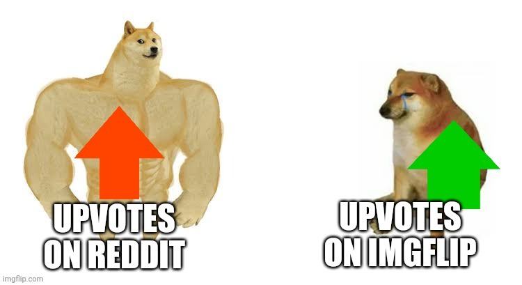 I'm in trouble aren't I? | image tagged in doge | made w/ Imgflip meme maker