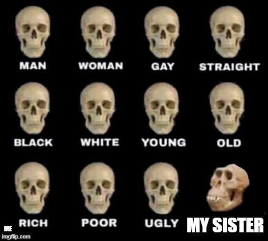 my sister | MY SISTER; ME | image tagged in idiot skull | made w/ Imgflip meme maker