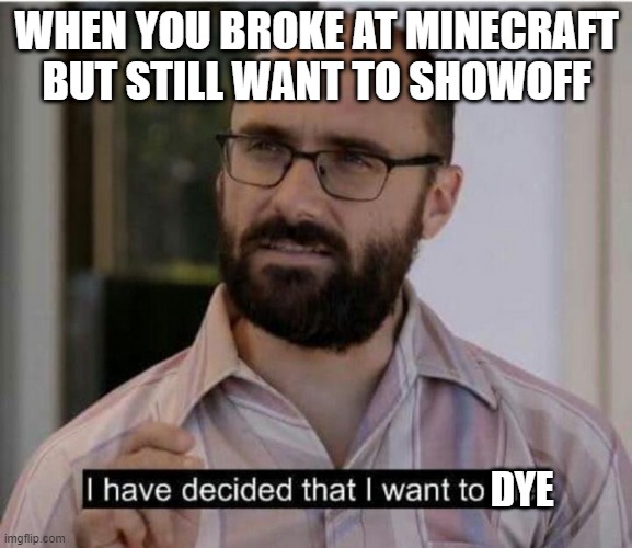me at minecraft | WHEN YOU BROKE AT MINECRAFT BUT STILL WANT TO SHOWOFF; DYE | image tagged in i have decided that i want to die | made w/ Imgflip meme maker