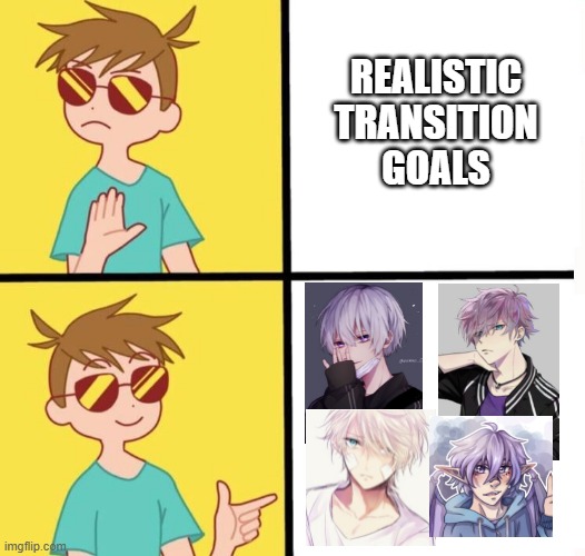 "realistic"transition goals | REALISTIC
TRANSITION
GOALS | image tagged in ftm trans meme yes/no | made w/ Imgflip meme maker