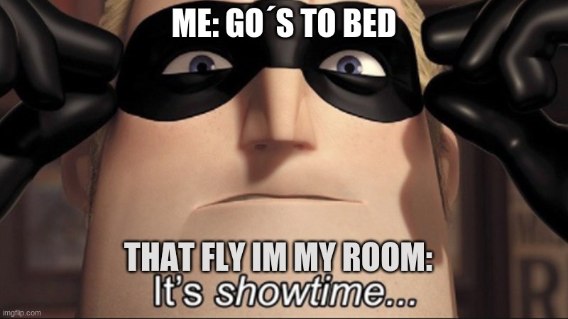 its showtime the fly | ME: GO´S TO BED; THAT FLY IM MY ROOM: | image tagged in it's showtime,fly,going to bed | made w/ Imgflip meme maker