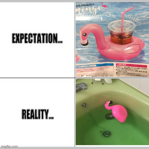 bruh | image tagged in memes,expectation vs reality,design fails | made w/ Imgflip meme maker