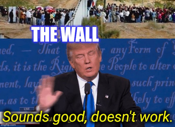 THE WALL Sounds good, doesn't work. | image tagged in sounds good doesn't work | made w/ Imgflip meme maker