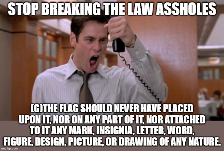 Stop breaking the law asshole | STOP BREAKING THE LAW ASSHOLES (G)THE FLAG SHOULD NEVER HAVE PLACED UPON IT, NOR ON ANY PART OF IT, NOR ATTACHED TO IT ANY MARK, INSIGNIA, L | image tagged in stop breaking the law asshole | made w/ Imgflip meme maker