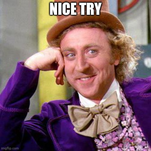 Willy Wonka Blank | NICE TRY | image tagged in willy wonka blank | made w/ Imgflip meme maker