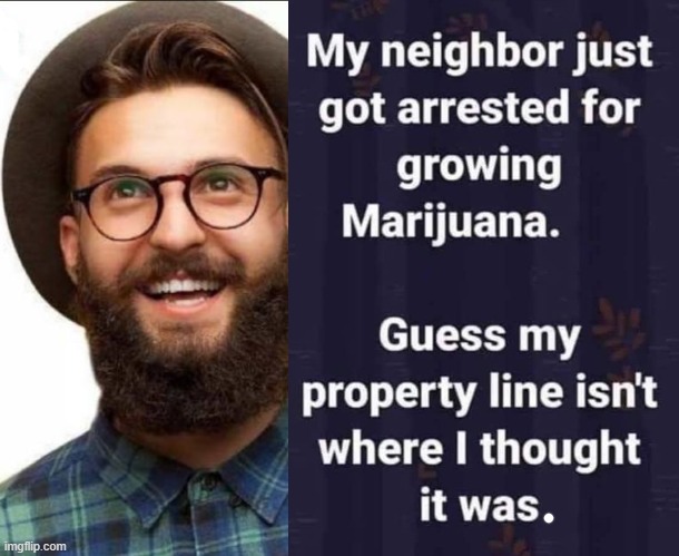 Dope next door ! | image tagged in marijuana | made w/ Imgflip meme maker