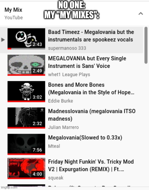NO ONE:
MY "MY MIXES": | made w/ Imgflip meme maker