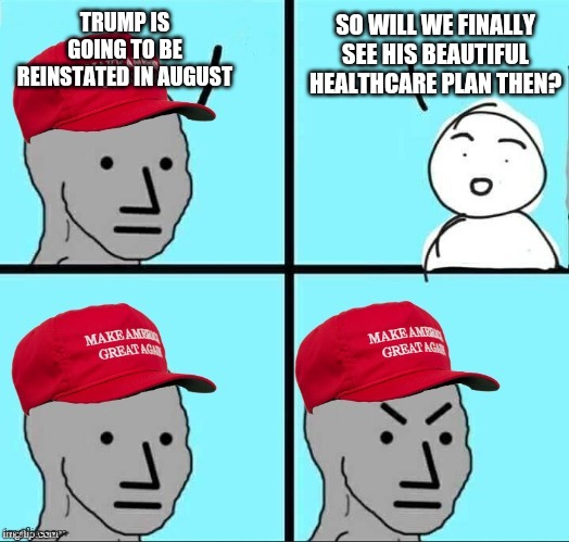 MAGA NPC (AN AN0NYM0US TEMPLATE) | SO WILL WE FINALLY SEE HIS BEAUTIFUL HEALTHCARE PLAN THEN? TRUMP IS GOING TO BE REINSTATED IN AUGUST | image tagged in maga npc an an0nym0us template | made w/ Imgflip meme maker