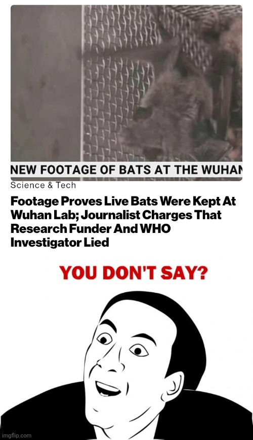 Politics and stuff | image tagged in memes,you don't say | made w/ Imgflip meme maker