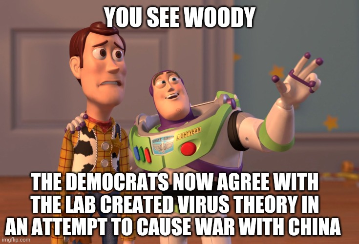 The whole point | YOU SEE WOODY; THE DEMOCRATS NOW AGREE WITH THE LAB CREATED VIRUS THEORY IN AN ATTEMPT TO CAUSE WAR WITH CHINA | image tagged in memes,x x everywhere | made w/ Imgflip meme maker