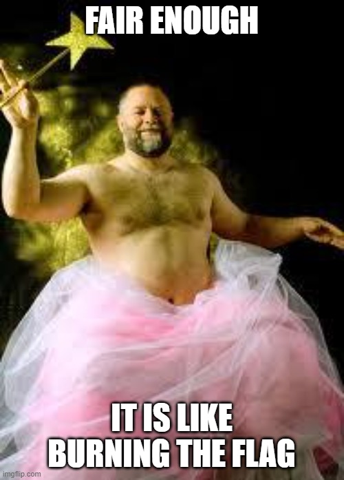 fairy man | FAIR ENOUGH IT IS LIKE BURNING THE FLAG | image tagged in fairy man | made w/ Imgflip meme maker