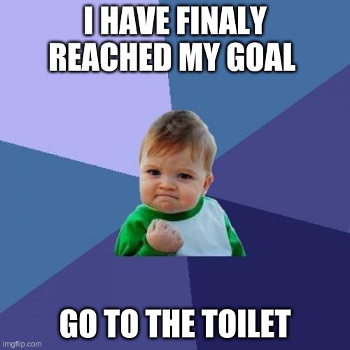 im proud | I HAVE FINALY REACHED MY GOAL; GO TO THE TOILET | image tagged in memes,success kid | made w/ Imgflip meme maker