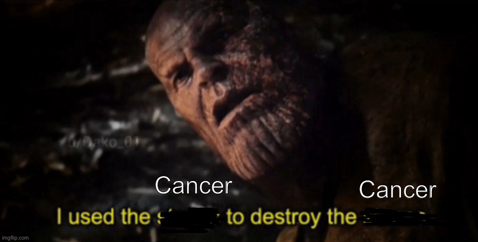 I used the stones to destroy the stones | Cancer Cancer | image tagged in i used the stones to destroy the stones | made w/ Imgflip meme maker