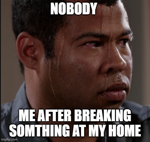 Sweating Man |  NOBODY; ME AFTER BREAKING SOMTHING AT MY HOME | image tagged in sweating man | made w/ Imgflip meme maker
