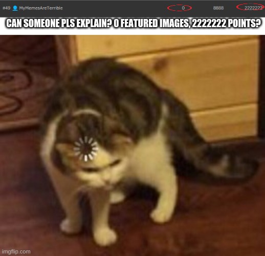 CAN SOMEONE PLS EXPLAIN? 0 FEATURED IMAGES, 2222222 POINTS? | image tagged in loading cat | made w/ Imgflip meme maker