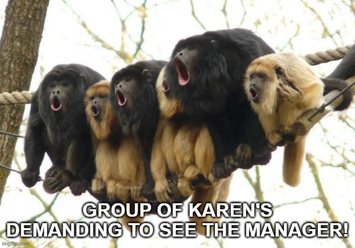Karen Howlers | GROUP OF KAREN'S DEMANDING TO SEE THE MANAGER! | image tagged in karen,monkeys,howlers | made w/ Imgflip meme maker