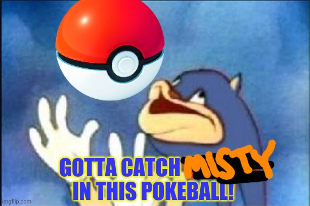Sonic x pokemon! | GOTTA CATCH EM ALL 
IN THIS POKEBALL! | image tagged in sonic derp,sonic the hedgehog,pokemon,crossover memes | made w/ Imgflip meme maker
