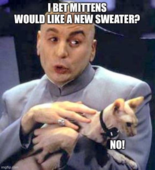 Dr Evil Cat |  I BET MITTENS WOULD LIKE A NEW SWEATER? NO! | image tagged in dr evil cat | made w/ Imgflip meme maker