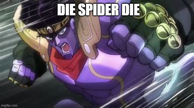 Star Platinum Punch Of Kill Everything | DIE SPIDER DIE | image tagged in star platinum punch of kill everything | made w/ Imgflip meme maker