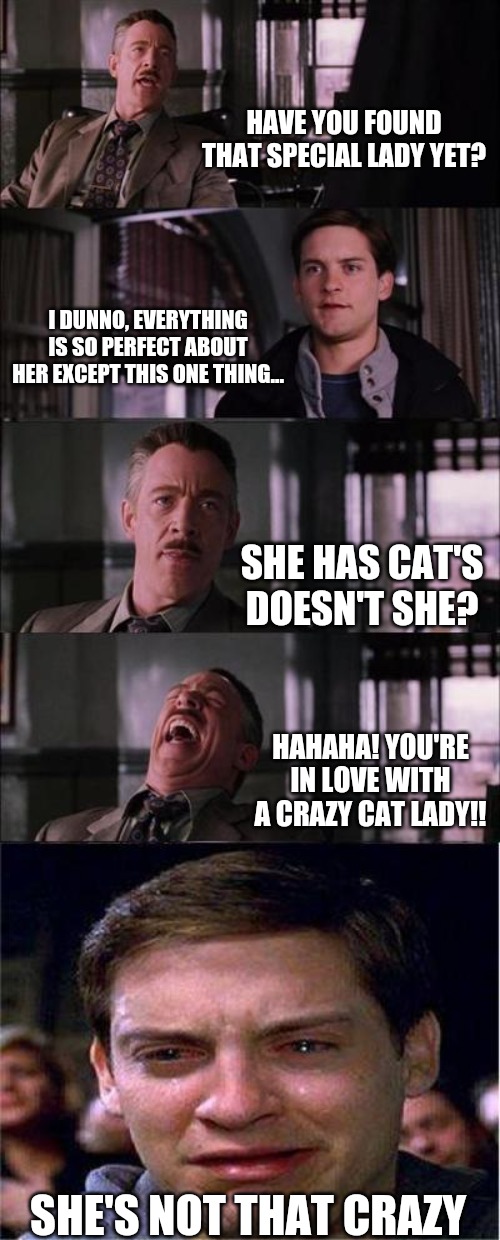 Peter Parker Cry Meme | HAVE YOU FOUND THAT SPECIAL LADY YET? I DUNNO, EVERYTHING IS SO PERFECT ABOUT HER EXCEPT THIS ONE THING... SHE HAS CAT'S DOESN'T SHE? HAHAHA! YOU'RE IN LOVE WITH A CRAZY CAT LADY!! SHE'S NOT THAT CRAZY | image tagged in memes,peter parker cry | made w/ Imgflip meme maker